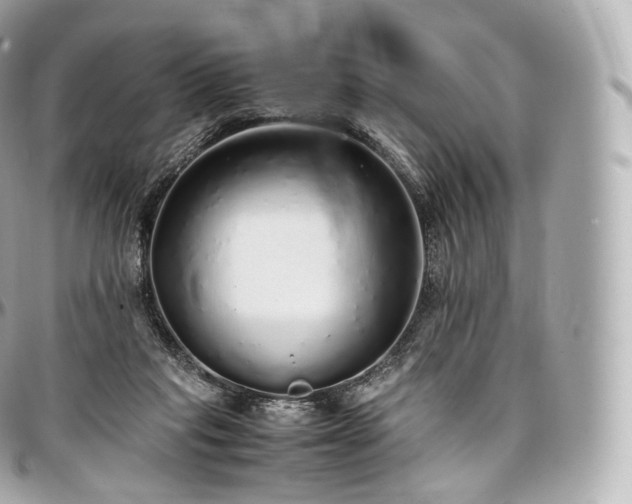 X0000097300261200802221342