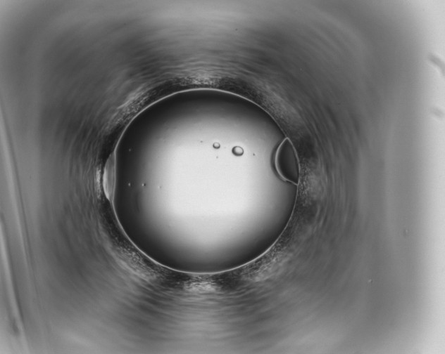 X0000097300262200802221342