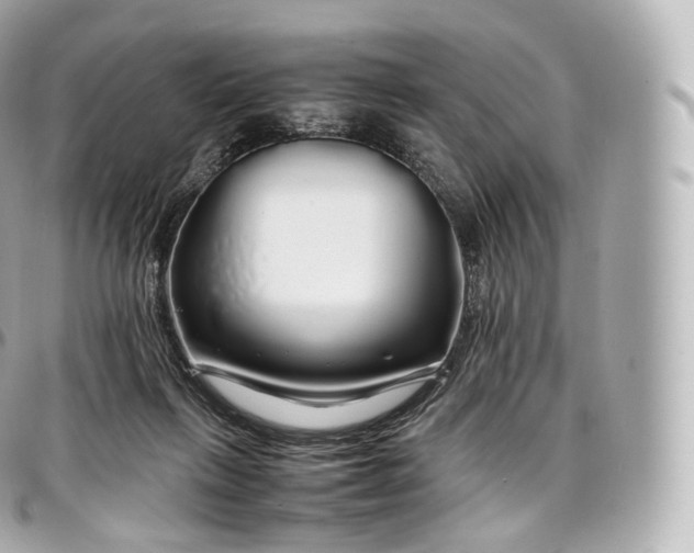 X0000097300263200802221342