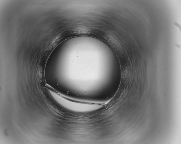 X0000097300264200802221342