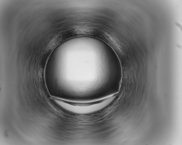 X0000097300265200802221342