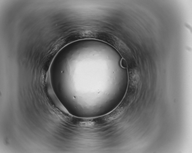 X0000097300266200802221342