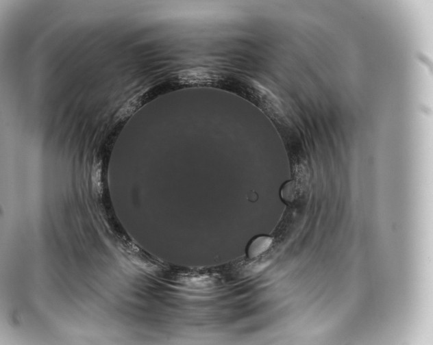 X0000097300267200802221342