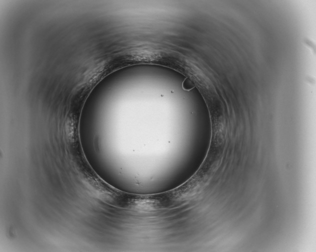 X0000097300268200802221342