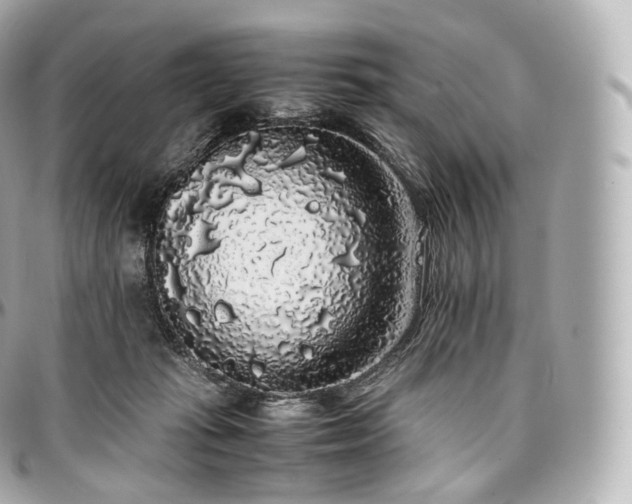 X0000097300269200802221342