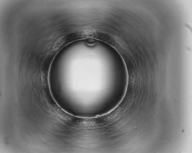 X0000097300270200802221342