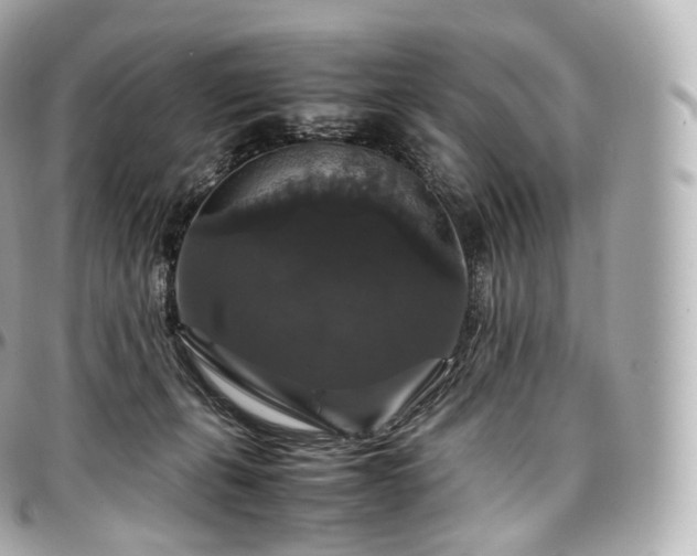 X0000097300271200802221342