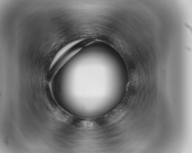 X0000097300272200802221342