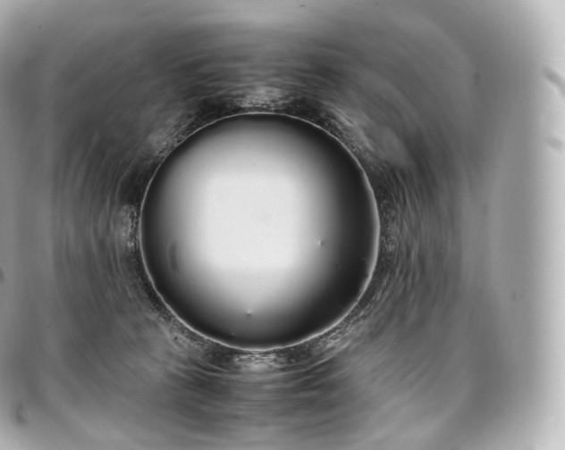 X0000097300273200802221342