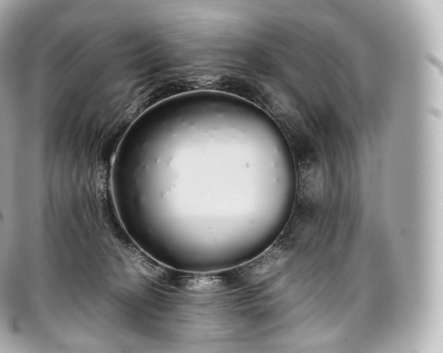 X0000097300274200802221342