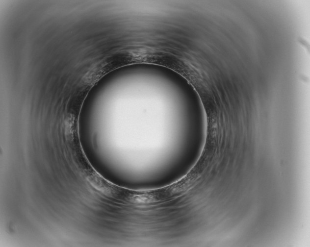 X0000097300275200802221342