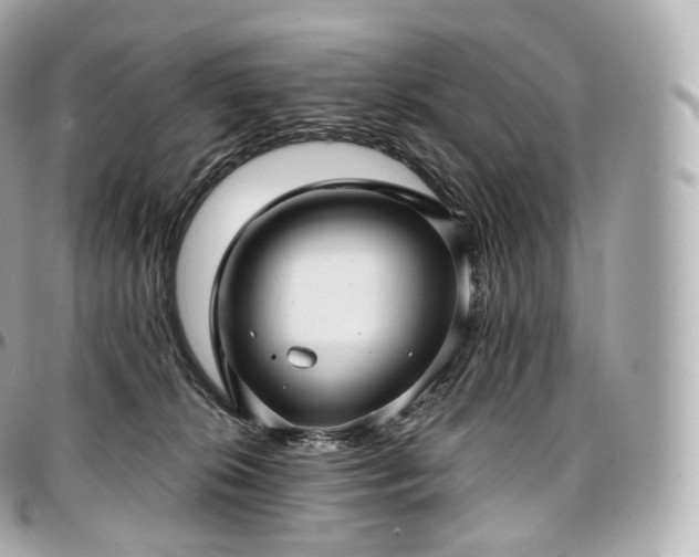 X0000097300276200802221342