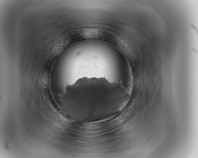 X0000097300277200802221342