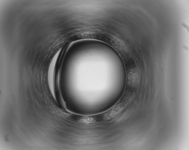 X0000097300278200802221342