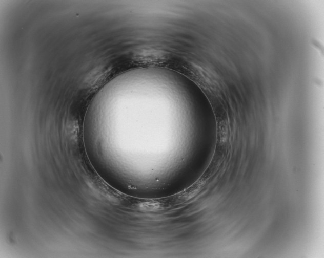 X0000097300279200802221342