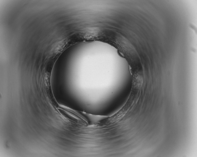 X0000097300280200802221342