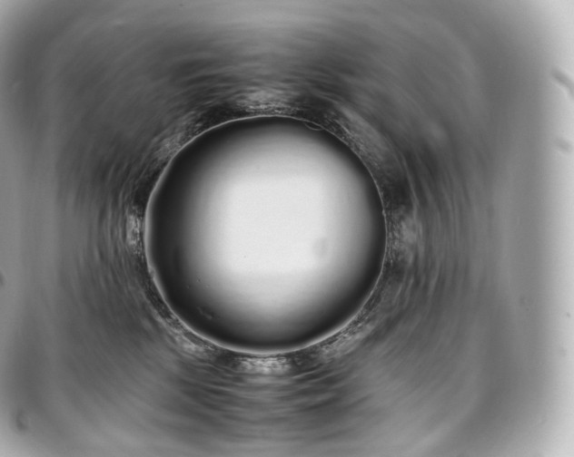 X0000097300281200802221342