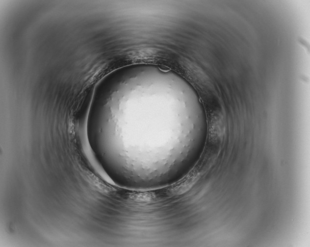 X0000097300282200802221342