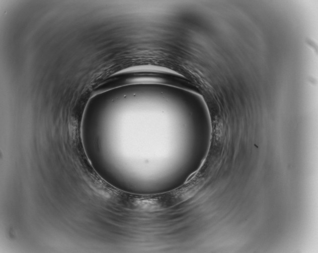 X0000097300283200802221342