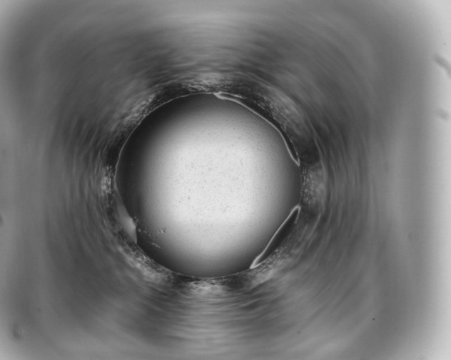 X0000097300284200802221342