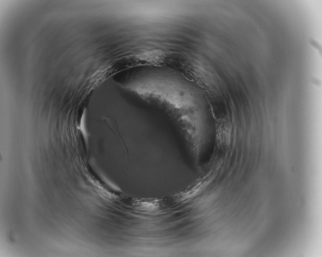 X0000097300285200802221342