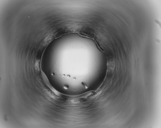 X0000097300286200802221342