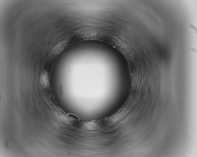 X0000097300287200802221342