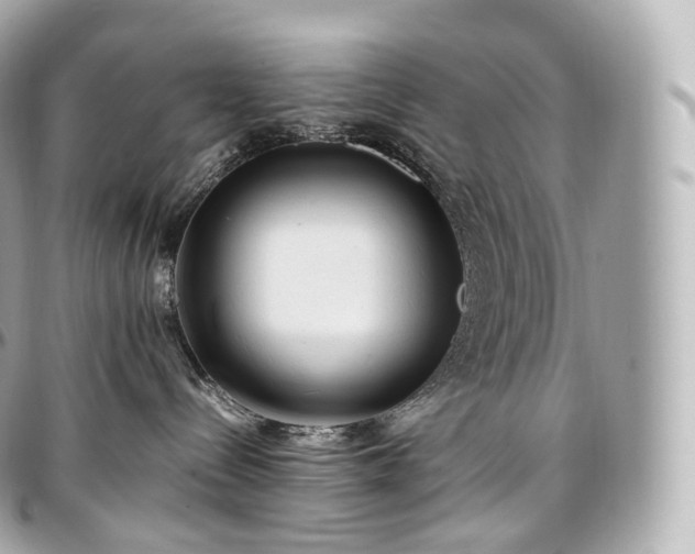 X0000097300288200802221343