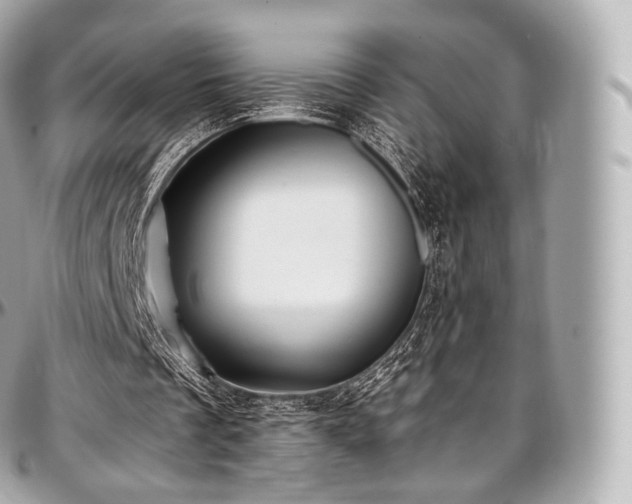 X0000097300289200802221342