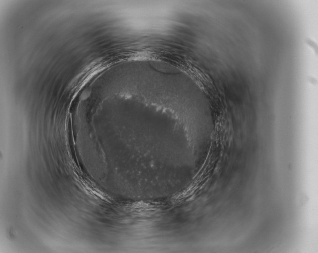 X0000097300290200802221342