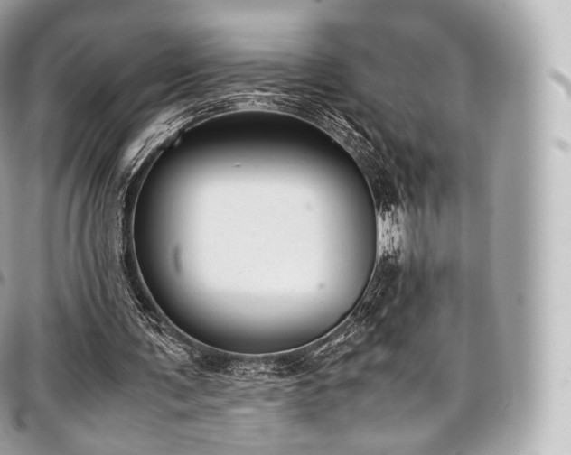 X0000097300291200802221342