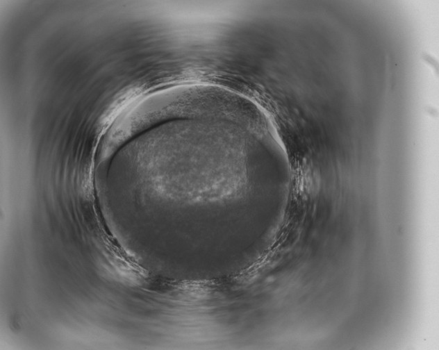 X0000097300292200802221342