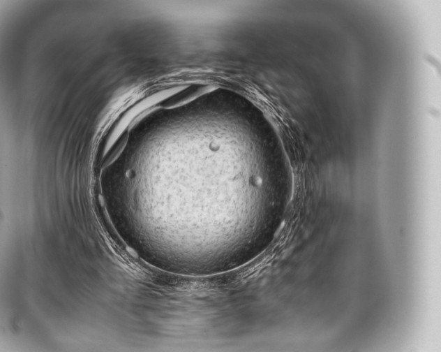 X0000097300293200802221342