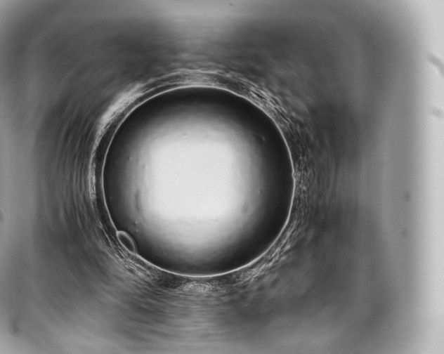 X0000097300294200802221342