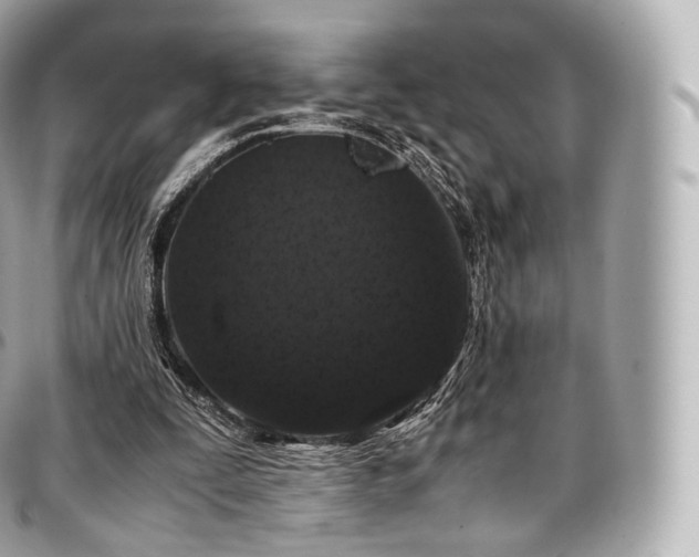 X0000097300295200802221342