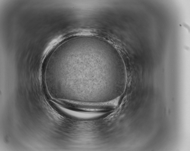 X0000097300296200802221342