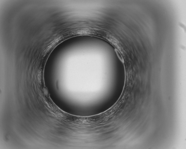 X0000097300297200802221342