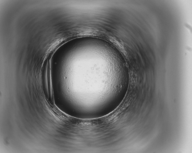 X0000097300298200802221342