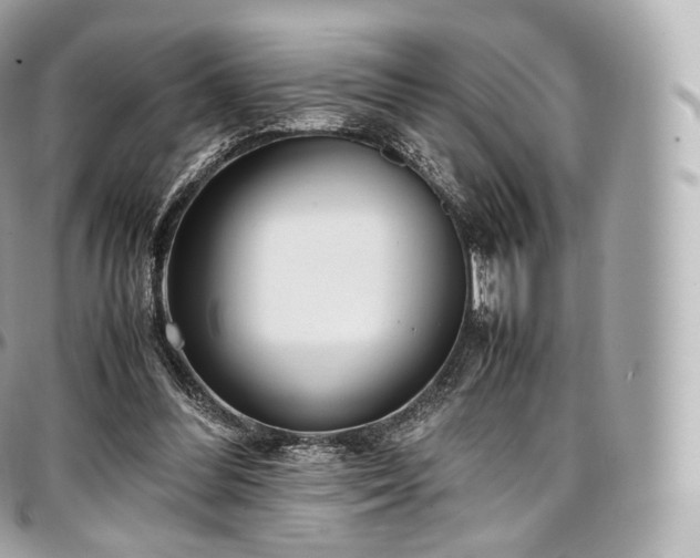 X0000097300300200802221342