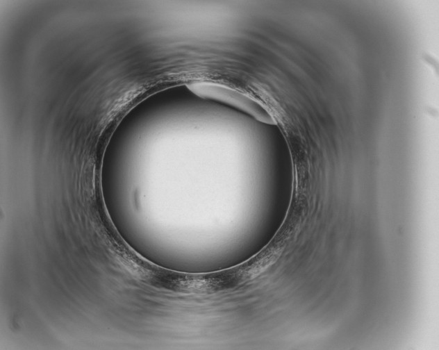 X0000097300301200802221342