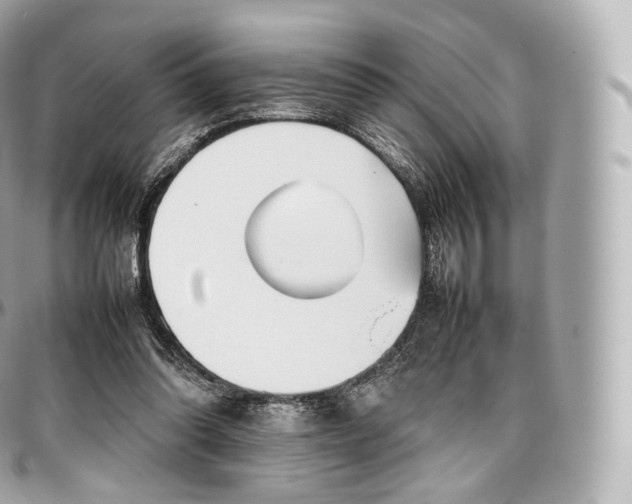 X0000097300302200802221342