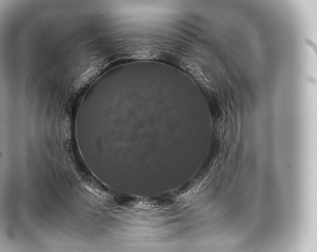 X0000097300303200802221342