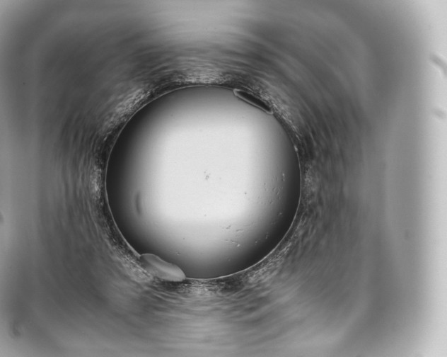 X0000097300305200802221342