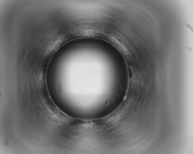 X0000097300306200802221342