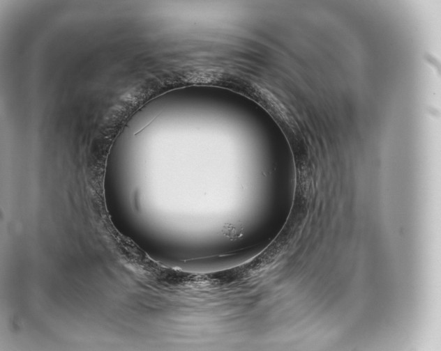 X0000097300307200802221342