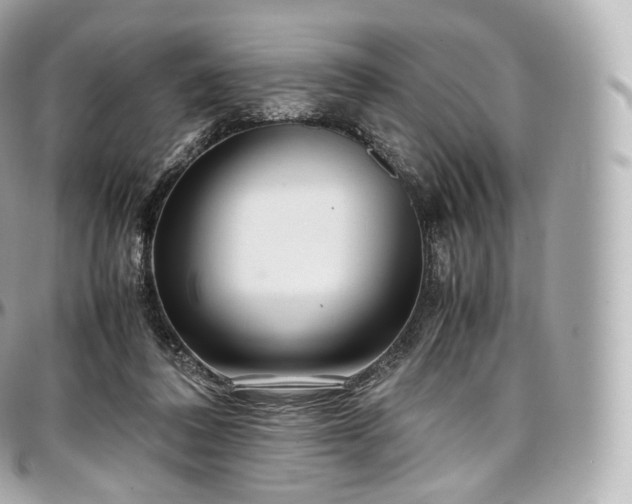 X0000097300308200802221342