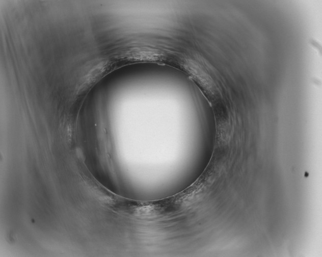 X0000097300309200802221342