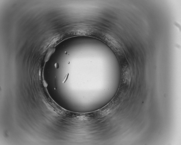 X0000097300310200802221342