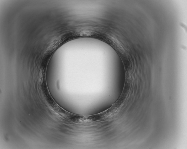 X0000097300311200802221342