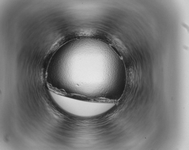 X0000097300312200802221342